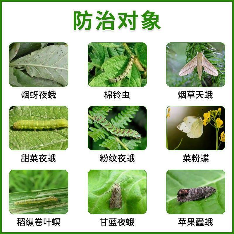 16%甲维茚虫威水稻稻纵卷叶螟杀虫剂甲维盐茚虫威大田农药