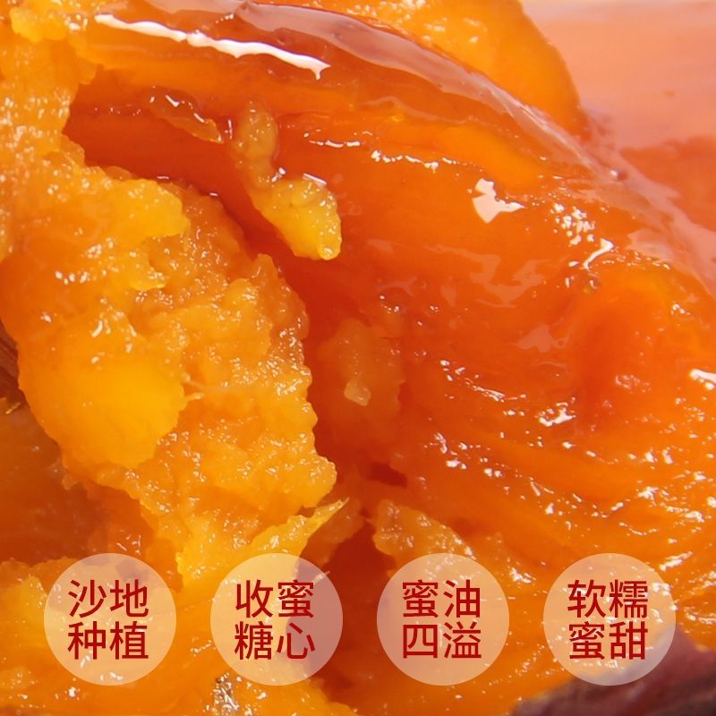 蜜薯红薯烟薯地瓜糖化口感佳条形好对接电商微商