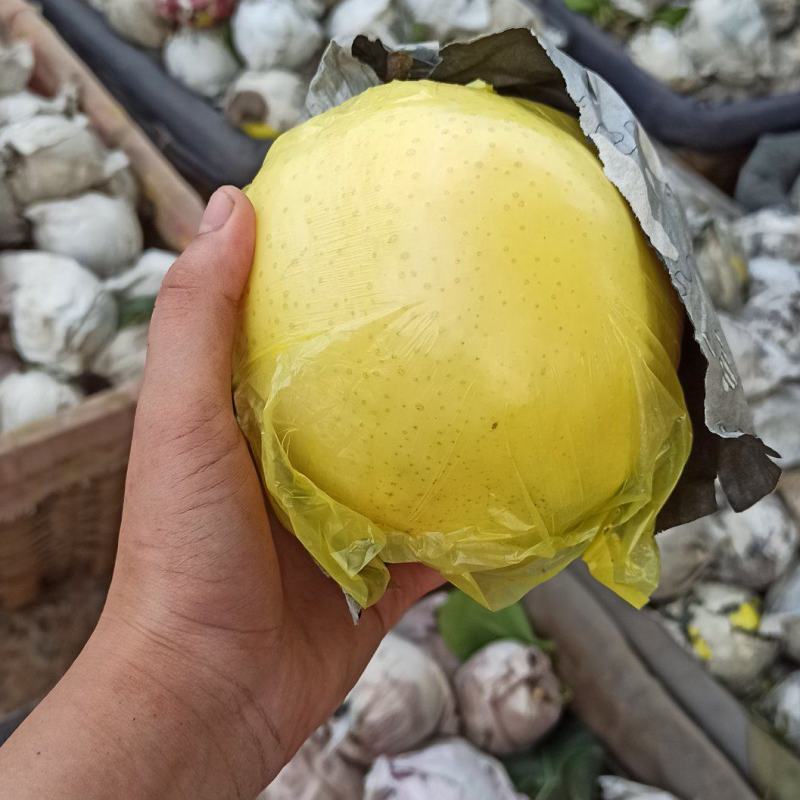 黄金梨（双加膜）皮薄肉多，脆甜，需要的朋友前来采购