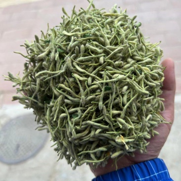 精品金银花，一手货源品质有保障，量大价从优