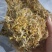 精品金银花，一手货源品质有保障，量大价从优
