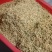 精品金银花，一手货源品质有保障，量大价从优