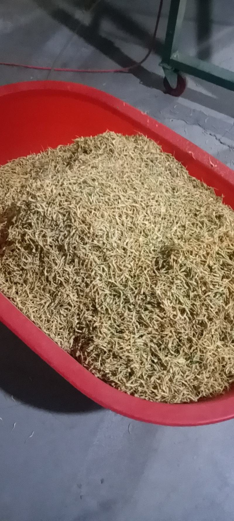 精品金银花，一手货源品质有保障，量大价从优