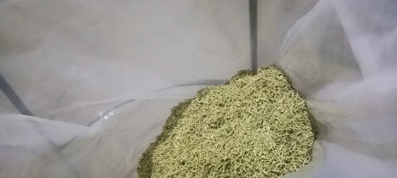 精品金银花，一手货源品质有保障，量大价从优