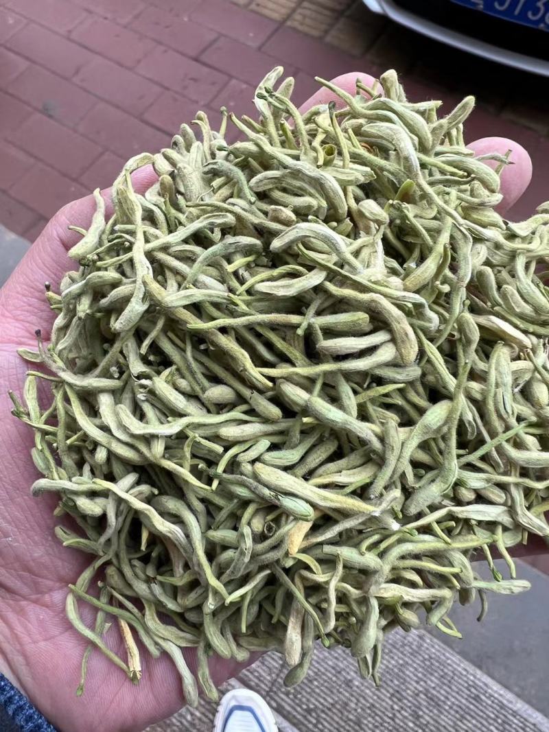 精品金银花，一手货源品质有保障，量大价从优