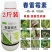 春雷霉素杀菌剂细菌性角斑病黄瓜柑橘水稻叶霉稻瘟病果树蔬菜