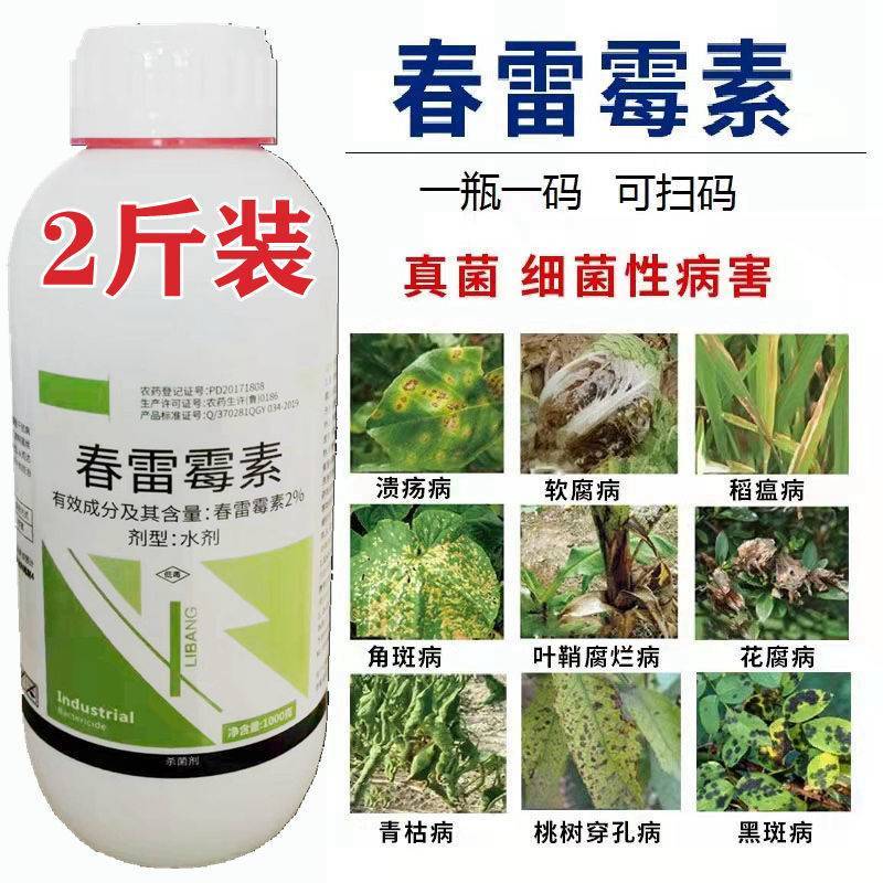 春雷霉素杀菌剂细菌性角斑病黄瓜柑橘水稻叶霉稻瘟病果树蔬菜