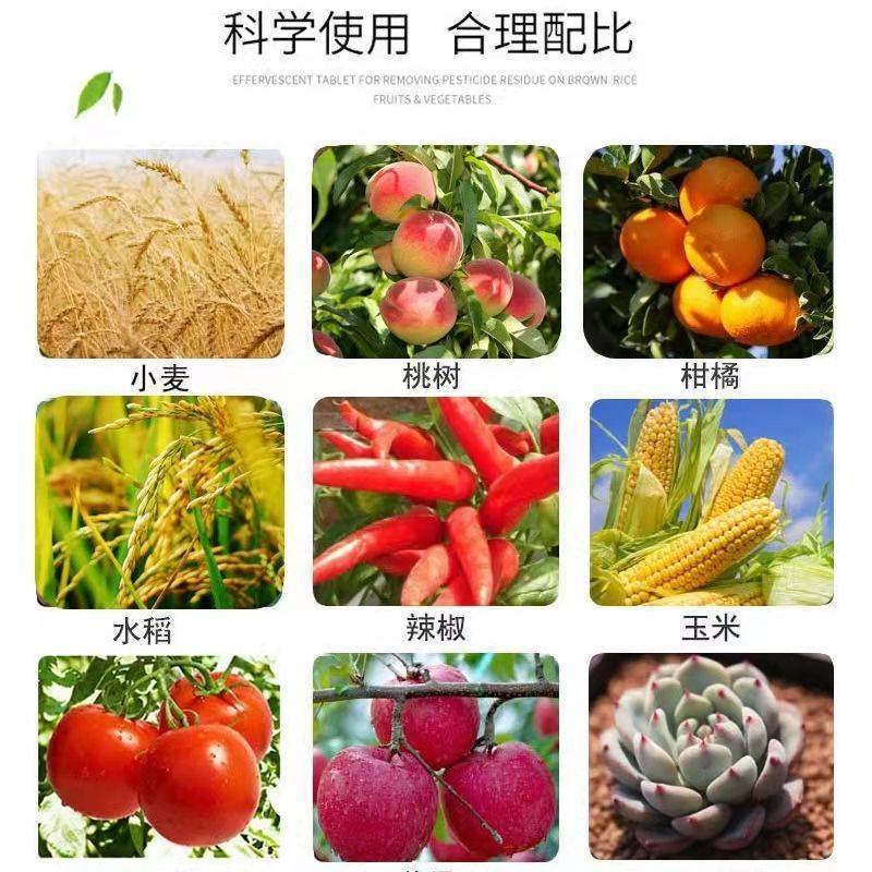 春雷霉素杀菌剂细菌性角斑病黄瓜柑橘水稻叶霉稻瘟病果树蔬菜