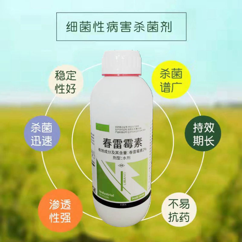 春雷霉素杀菌剂细菌性角斑病黄瓜柑橘水稻叶霉稻瘟病果树蔬菜