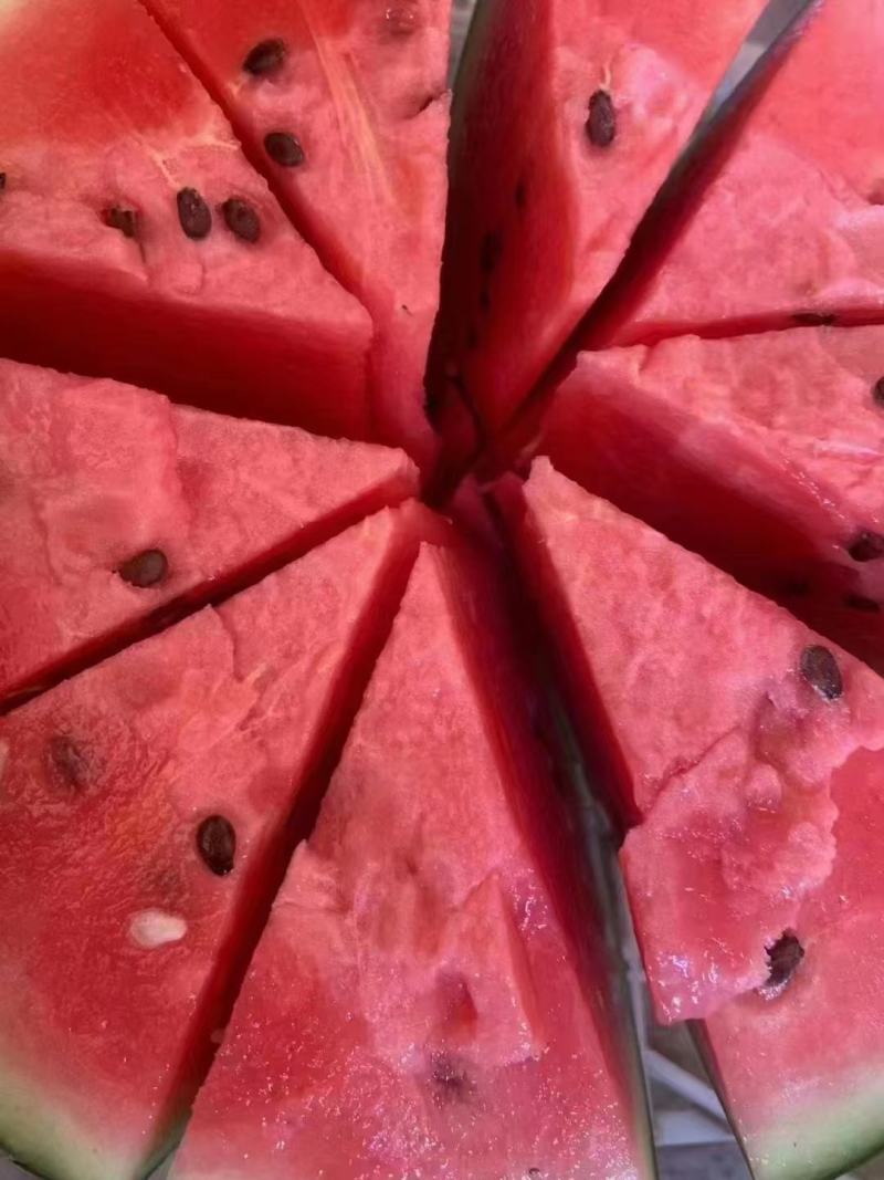 东北大地雷，质量嘎嘎板正，大量有货，需要的联系