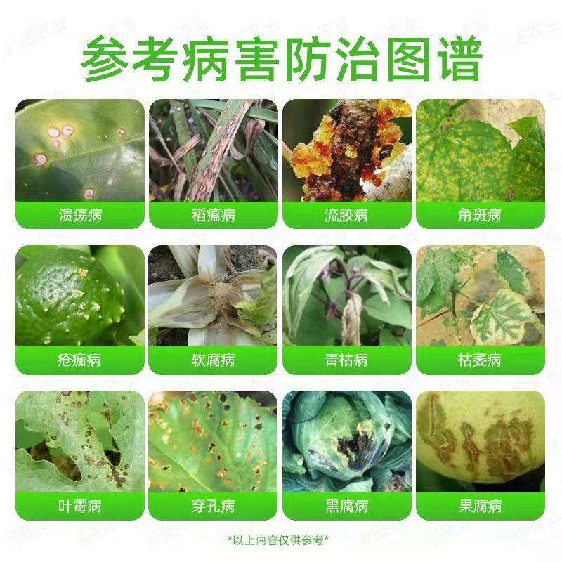 6%春雷霉素杀菌剂溃疡病角斑病流胶软腐病烂果稻瘟病果树柑