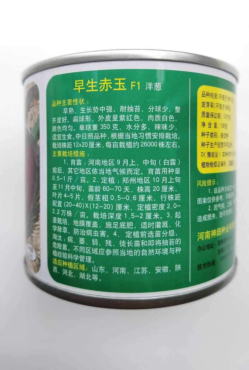 早熟洋葱种子早生赤玉杂交洋葱种籽耐抽苔紫红扁圆甜脆