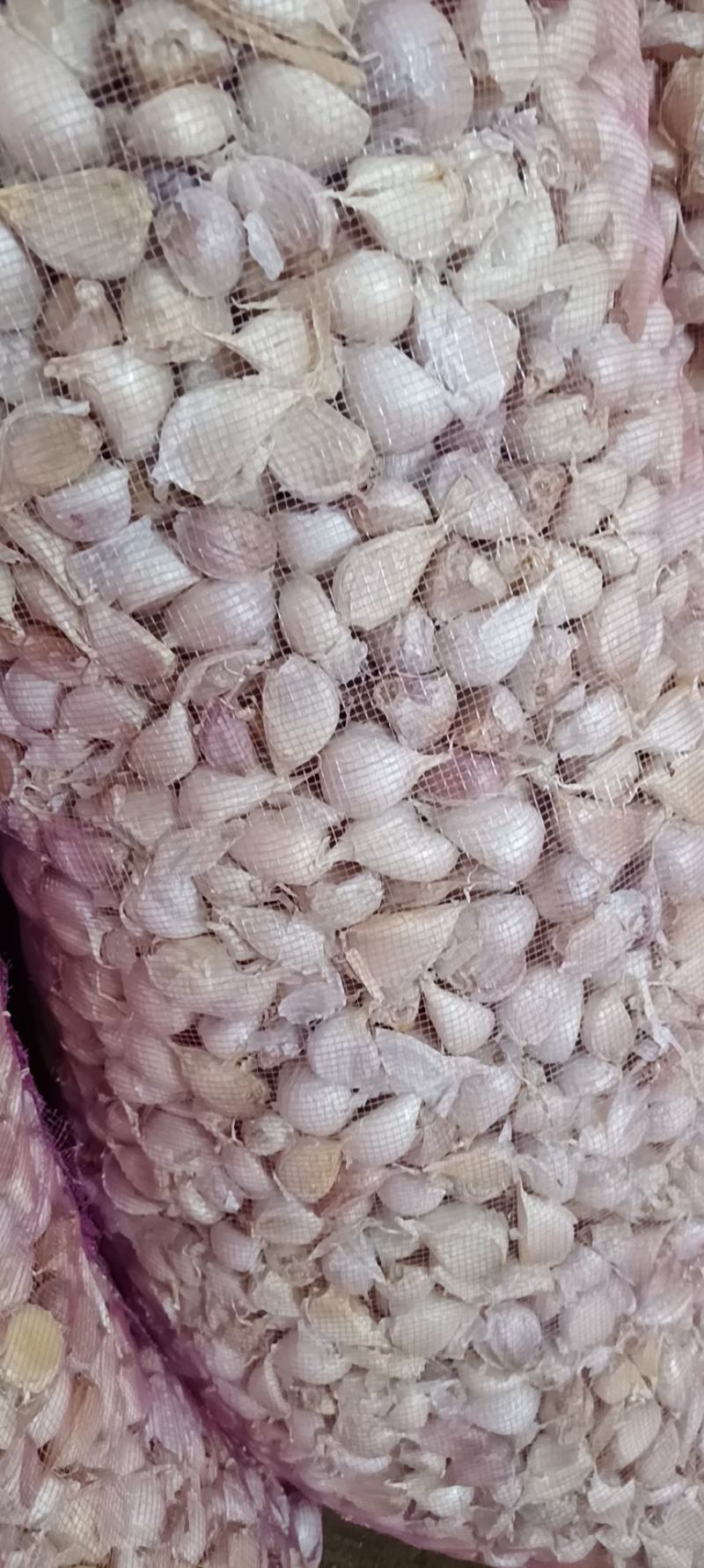 大蒜