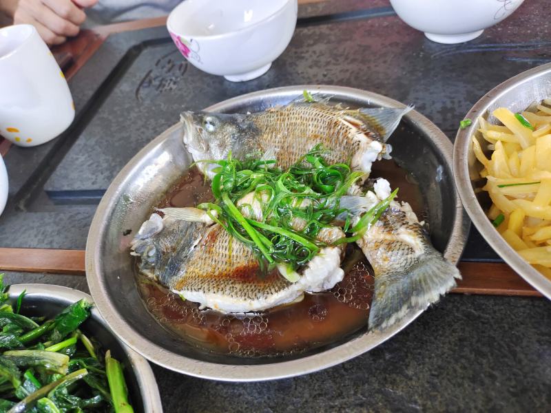 自产自销，台山鲈鱼