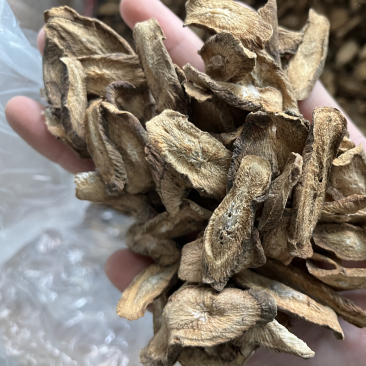 牛蒡茶牛蒡根牛蒡茶片大斜片干净无杂质文斌药业批发