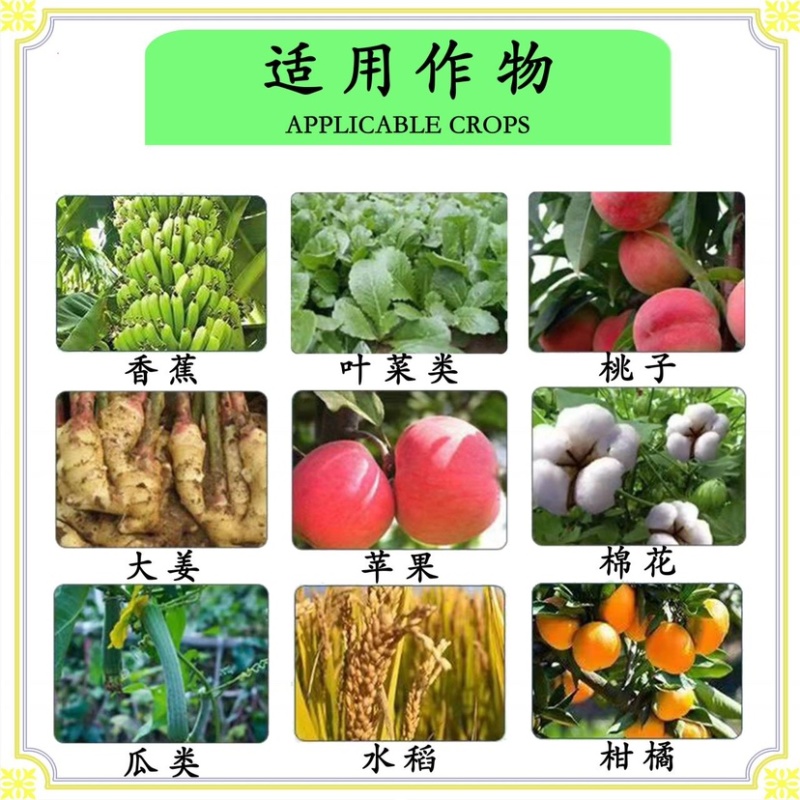 14%虫螨茚虫威斜纹夜蛾食心虫甜菜夜蛾小菜蛾吊丝虫茶尺蠖