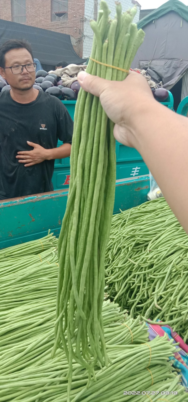 精品豆角全国供应