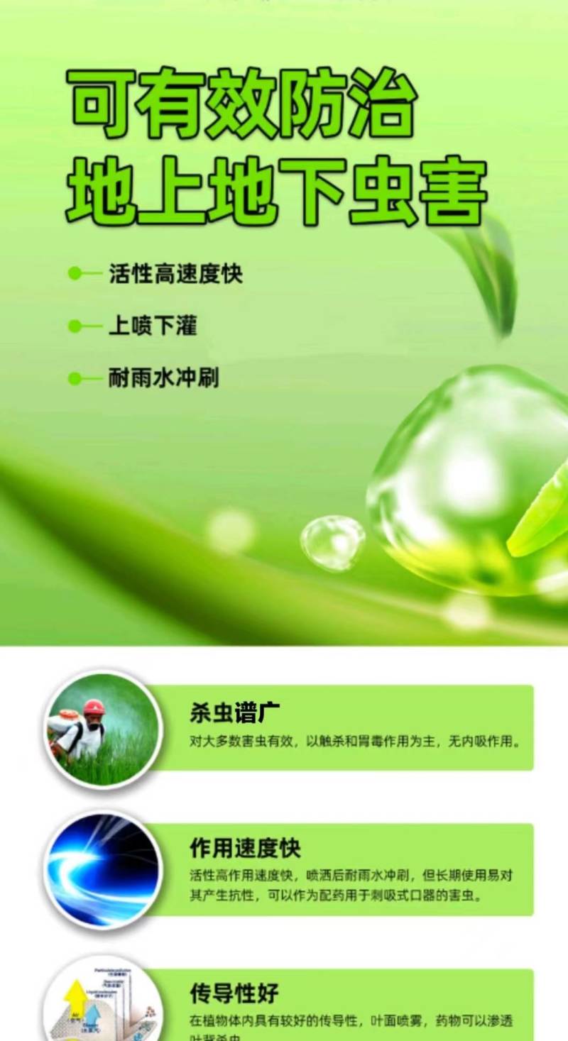 2.5%高效氯氟氰菊酯菜青虫杀虫剂蚜虫飞虱地老虎地蛆蔬菜