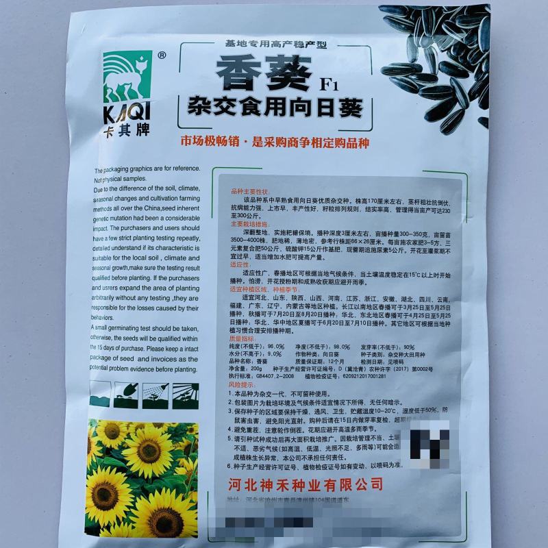 卡其香葵向日葵种子杂交中早熟食用葵花籽高产春夏大田基地用