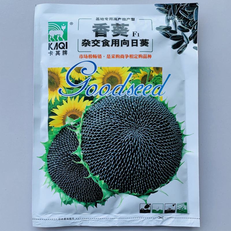 卡其香葵向日葵种子杂交中早熟食用葵花籽高产春夏大田基地用