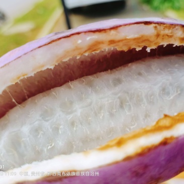 八月瓜