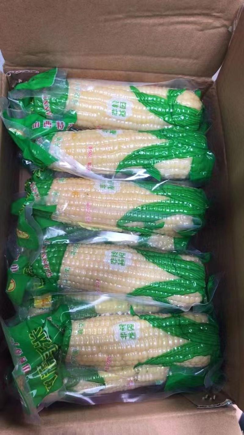 甜糯玉米玉米棒真空包装口感好品质保证非转基因售后无忧
