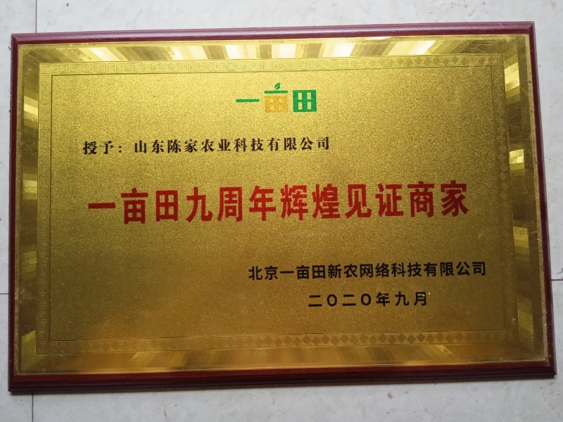 文竹盆栽室内植物净化空气办公室吸甲醛绿植盆景四季常青云竹