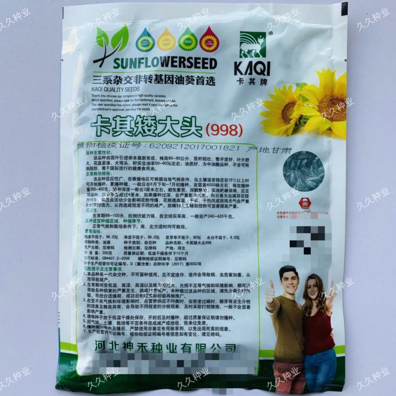 卡其矮大头998油葵种子籽非转基因耐旱高产出油率高