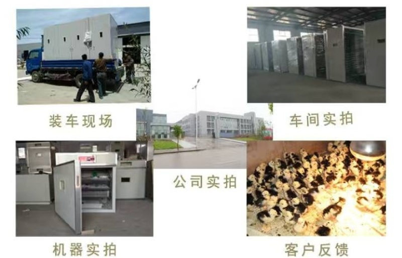 【孵化机】全自动智能孵化器规格齐全厂家直销质量保证
