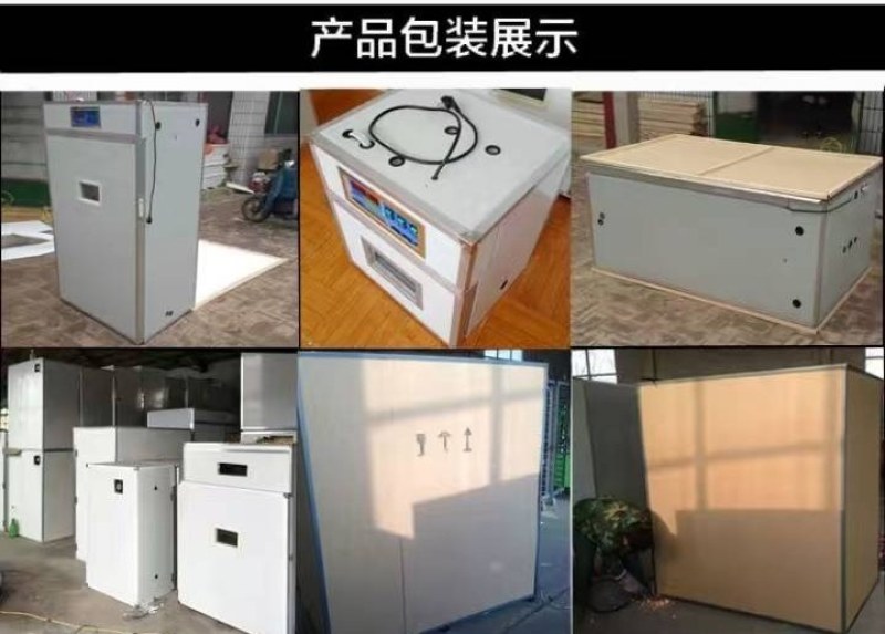 【孵化机】全自动智能孵化器规格齐全厂家直销质量保证