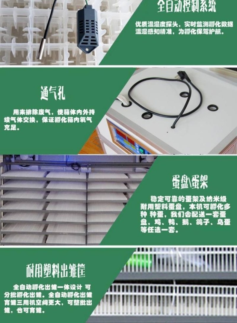 【孵化机】全自动智能孵化器规格齐全厂家直销质量保证