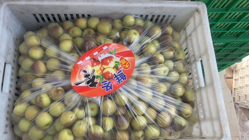 大荔冬枣