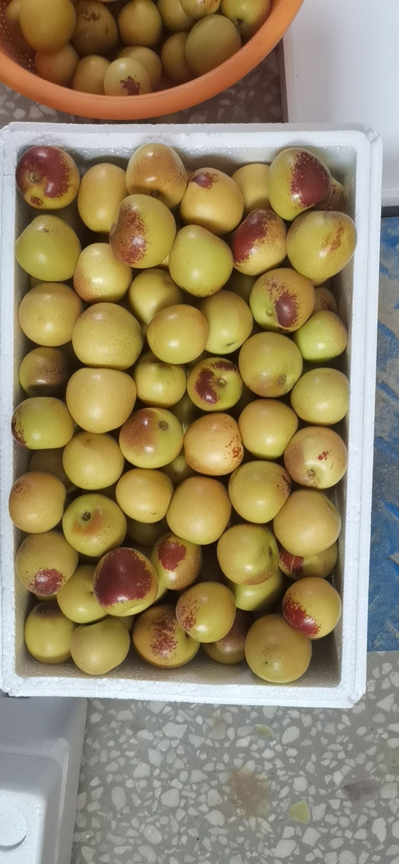 大荔冬枣