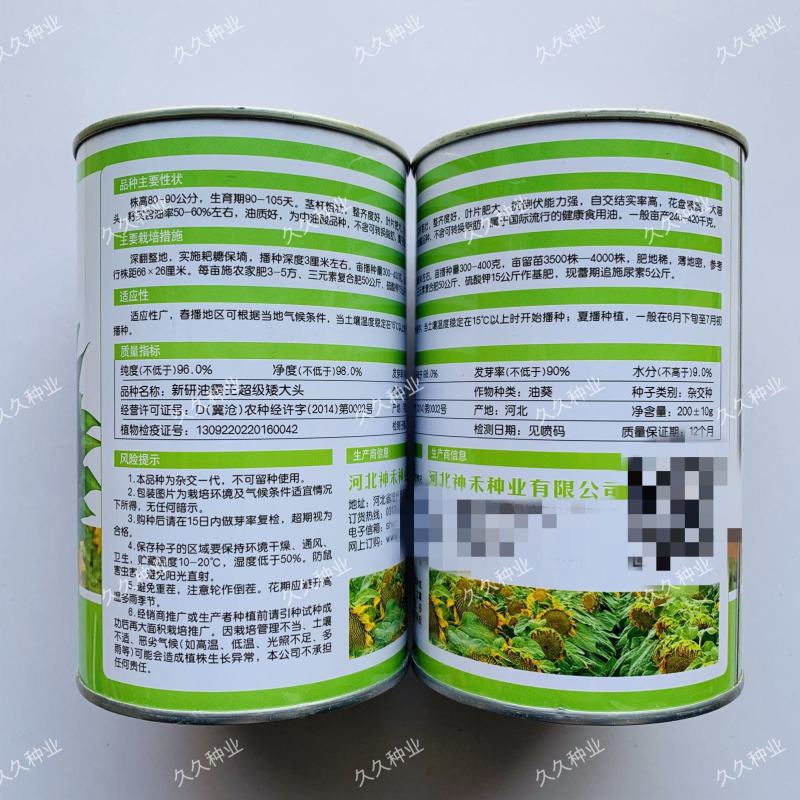 新研油霸王超级矮大头种子油用向日葵种籽杂交种抗倒伏