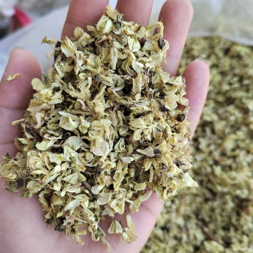 槐花，槐米的花，今年新货，纯干无硫，颜色漂亮，产地山东