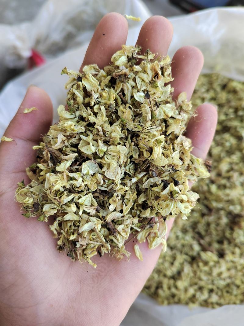 槐花，槐米的花，今年新货，纯干无硫，颜色漂亮，产地山东