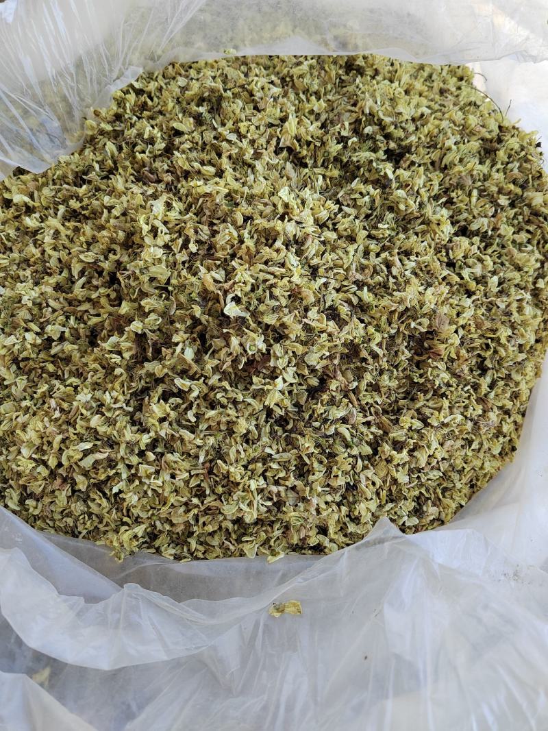槐花，槐米的花，今年新货，纯干无硫，颜色漂亮，产地山东