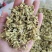 槐花，槐米的花，今年新货，纯干无硫，颜色漂亮，产地山东