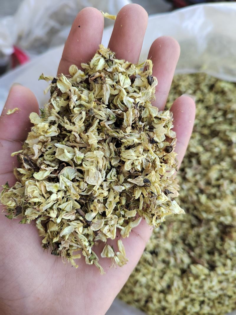 槐花，槐米的花，今年新货，纯干无硫，颜色漂亮，产地山东