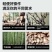 德国充电式电锯手提式家用砍树伐木锯户外锯树电动小型修枝锯