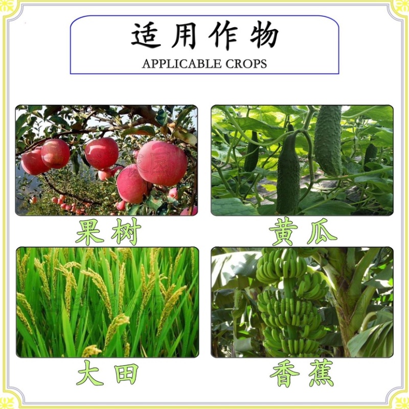 拜耳碧护赤吲乙芸苔增产保花保果缓解药害进口植物生长调节剂