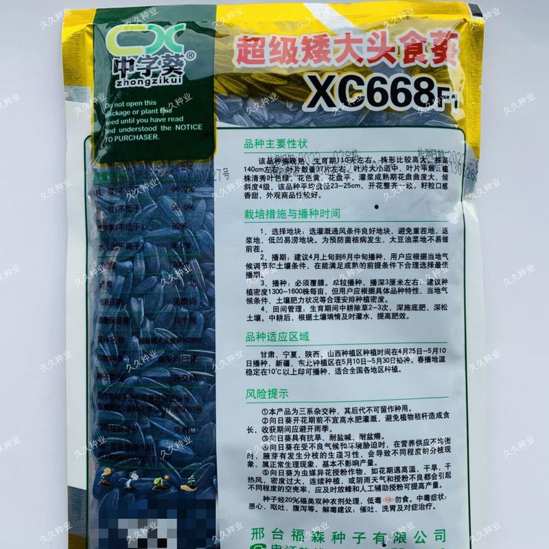超级矮大头食葵XC668种籽大田葵花籽籽高油矮种籽出油高