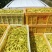 正宗的宁夏富硒大白条黄花菜，不添加任何添加剂的无公害农产品。