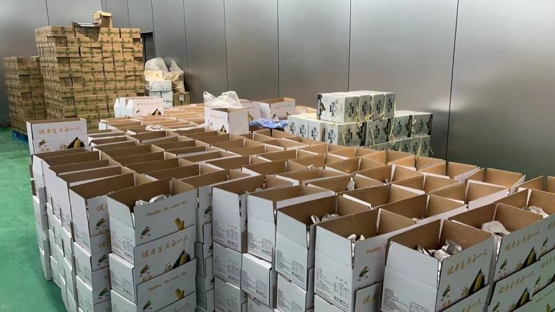 我想卖东北黑土地特产，香甜糯粘玉米