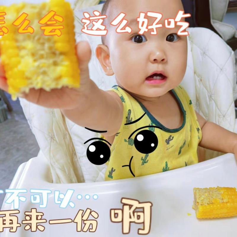 来自黑土地馈赠佳品，纯有机绿色的香甜糯粘玉米，又香又甜