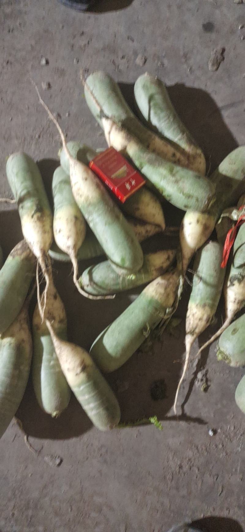 水果萝卜精品货大量供应