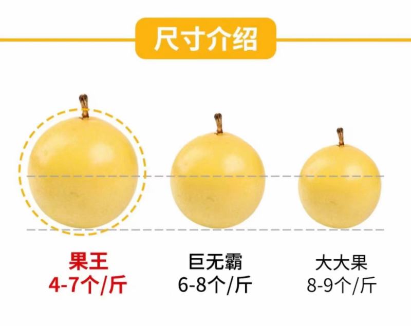 钦蜜9号（产地直发，热销，品质保证，品种好）