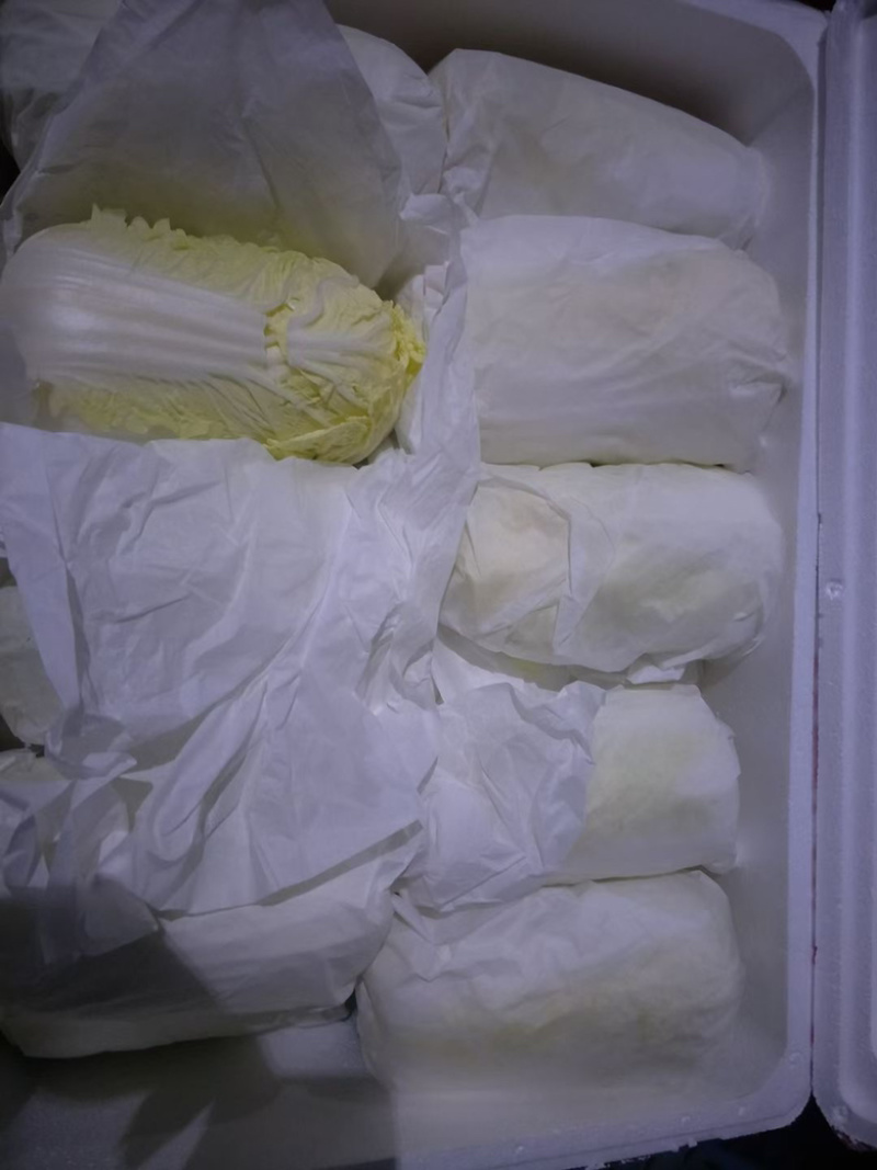 山东精品娃娃菜长期大量有货，需要的联系我