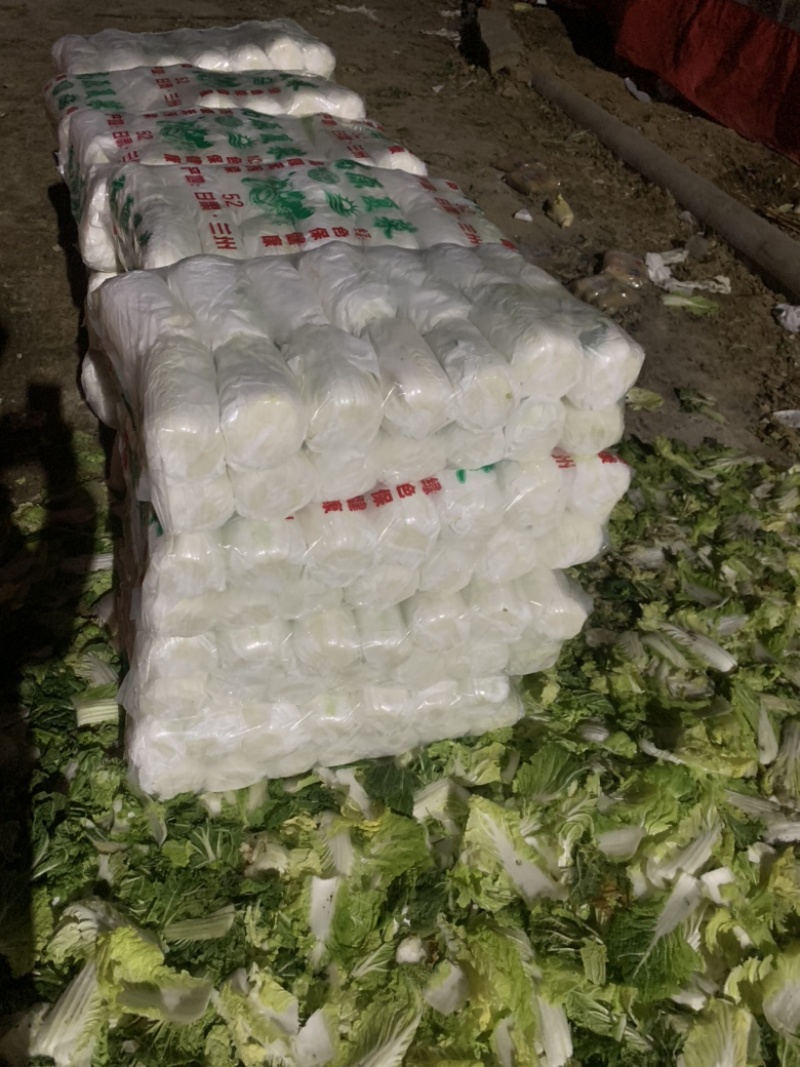山东精品娃娃菜长期大量有货长期供应各大超市电商需要的联系