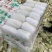 山东精品娃娃菜长期大量有货长期供应各大超市电商需要的联系